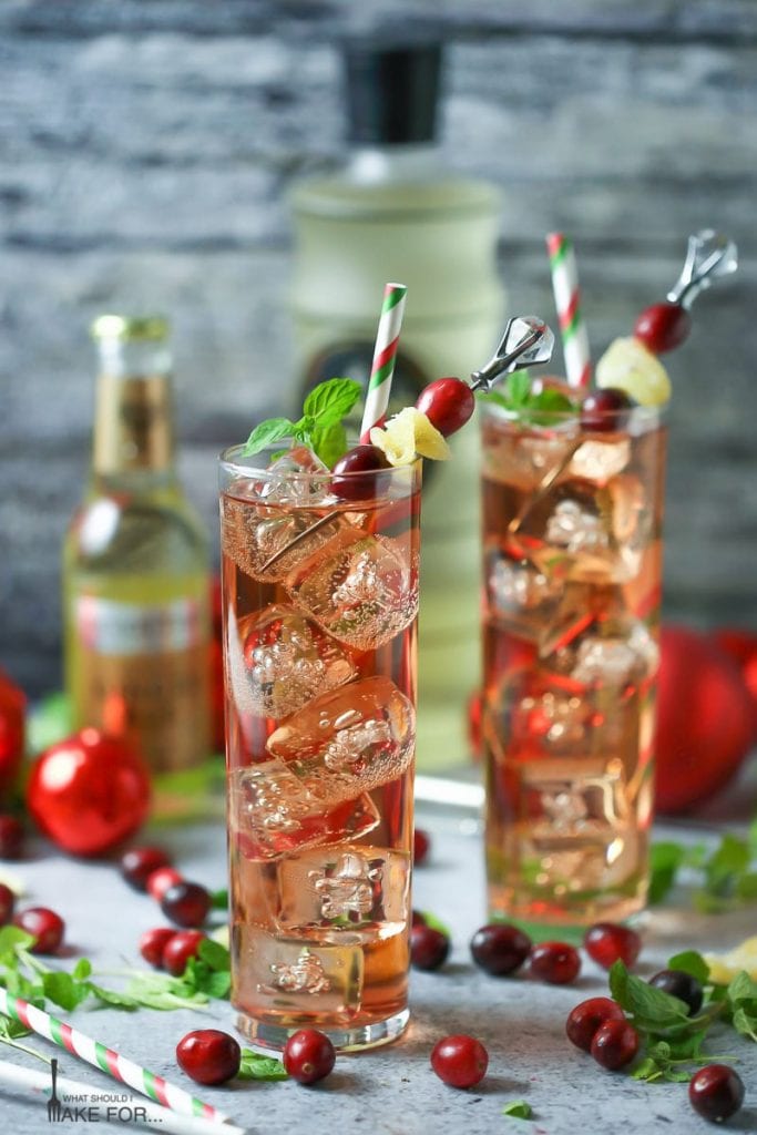 Cranberry Ginger Fizz Cocktail - What Should I Make For...