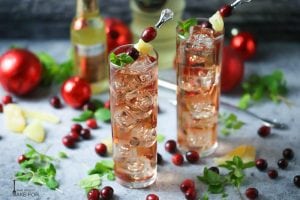 Cranberry Ginger Fizz Cocktail