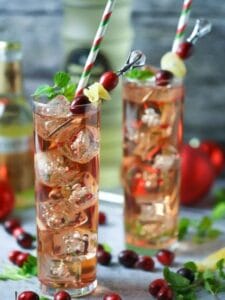 Cranberry Ginger Fizz Cocktail