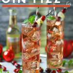 Drink and be merry with this easy and festive cranberry ginger fizz cocktail. Tart, sweet, spicy and a whole lot of fun!