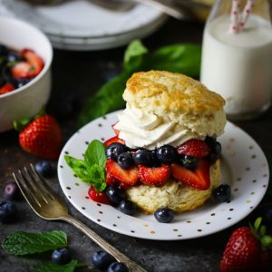 Blueberry Strawberry Shortcake