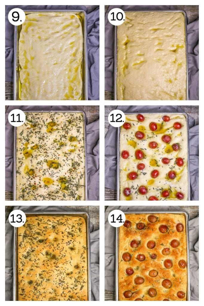Step by step photos on how to make Fluffy Focaccia Bread. Spread the dough in a well oiled pan (9), the risen dough (10), holes poked and scattered with herbs (11), holes poked and scattered with grapes (12), baked herb focaccia (13), baked red grape focaccia (14).