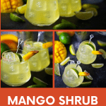 This mango shrub margarita is sharp and sweet and will shake up your classic margarita just in time for Cinco de Mayo.