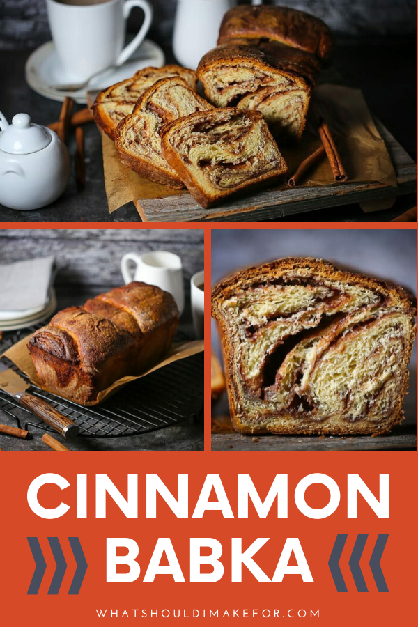 Cinnamon Babka What Should I Make For...
